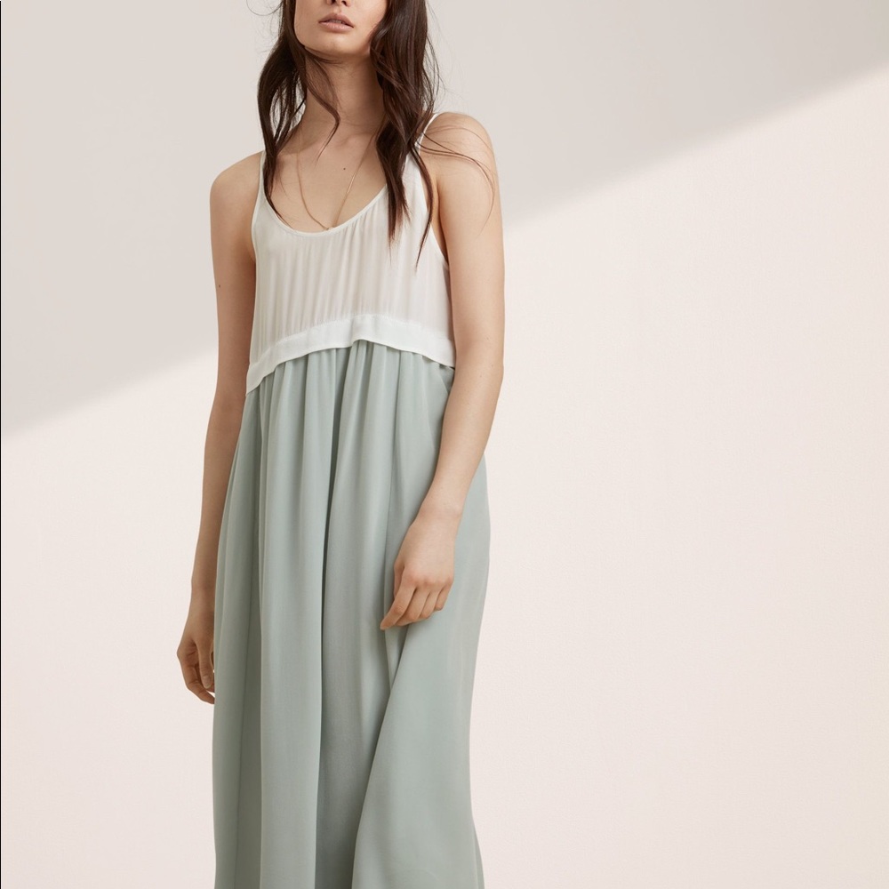 Aritzia Bisons dress